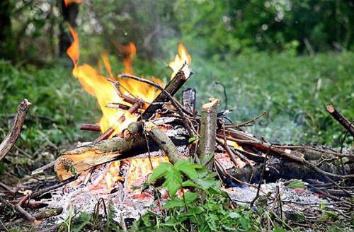 Что нельзя делать на даче по новому закону. Чего нельзя делать на даче по закону в 2020 году, чтобы не оштрафовали