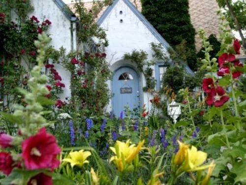 Что посадить на даче, чтобы не ухаживать. Что бы такое посадить, чтобы не ухаживать?