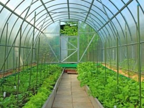 Какой поликарбонат лучше для теплицы. №1. Основные преимущества поликарбоната 02