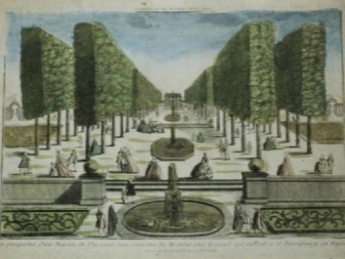 Семена травы газонной. Какой бывает 06