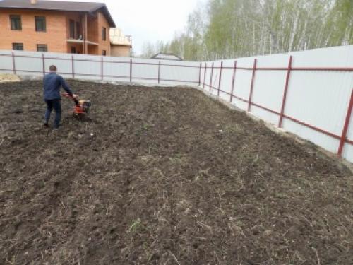 Семена травы газонной. Какой бывает 03