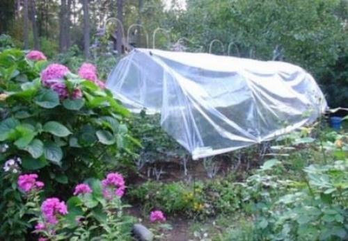 Чем накрыть теплицу кроме поликарбоната. Материал для теплиц: покрытие