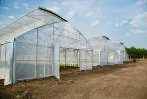 Чем накрыть теплицу кроме поликарбоната. Материал для теплиц: покрытие