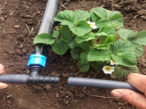 Установка систем автоматического полива. И снова о проекте 05
