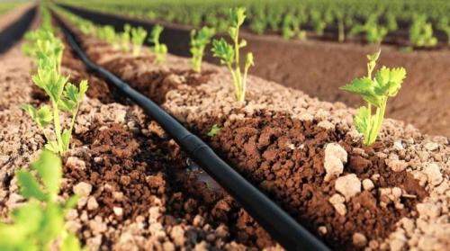 Капельный полив своими руками для дачи без затрат сделай сам. Как сделать капельный полив своими руками?