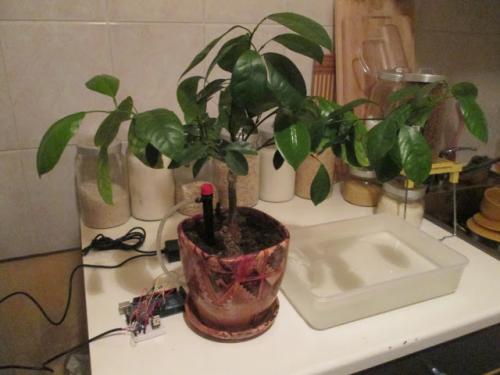 Автополив на ардуино для комнатных растений. Делаем автополив комнатного цветка на Arduino за 15 минут