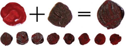 Бордовая мебель в интерьере. Бордовый цвет в интерьере и его сочетание с другими цветами