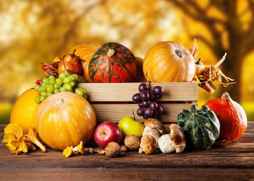 Посадка саженцев плодовых деревьев осенью. Весенняя посадка плодовых саженцев в различных регионах 02