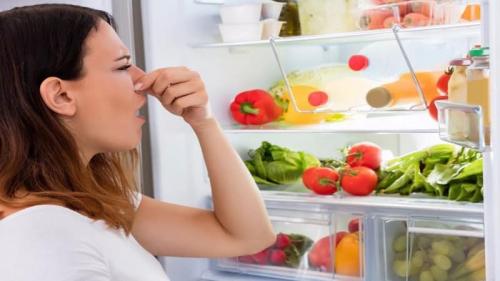 Неприятные запахи в холодильнике. От чего может появиться неприятный запах