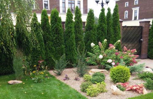 Как правильно сажать хвойные. Поселите хвойники в саду – посадка туи, сосны, пихты, можжевельника осенью