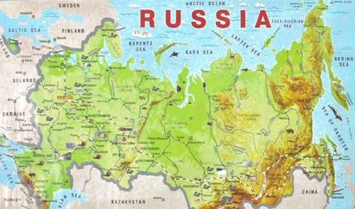 Когда лучше пересаживать косточковые деревья. Когда сажать плодовые деревья весной: в какие сроки