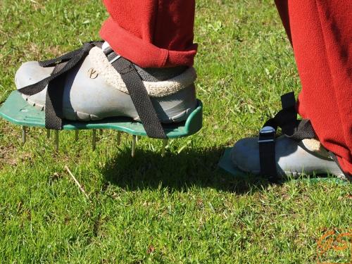 Аэрация газона своими руками. Организация естественной аэрации газона 13 Аэрация газона своими руками. Организация естественной аэрации газона 13