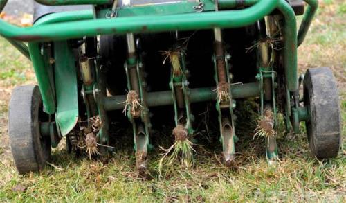 Аэрация газона своими руками. Организация естественной аэрации газона 02 Аэрация газона своими руками. Организация естественной аэрации газона 02