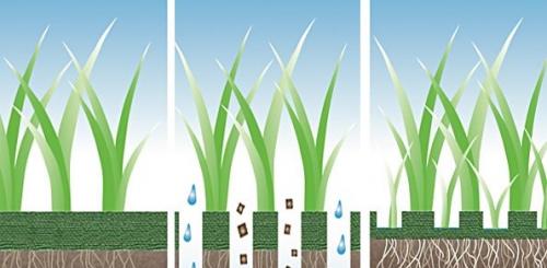 Аэрация газона своими руками. Организация естественной аэрации газона 12 Аэрация газона своими руками. Организация естественной аэрации газона 12