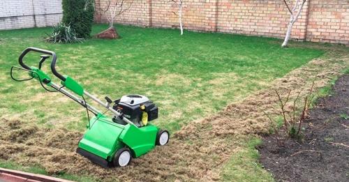 Аэрация газона когда делать. Как правильно производить аэрацию газона