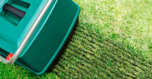 Аэрация газона когда делать. Как правильно производить аэрацию газона