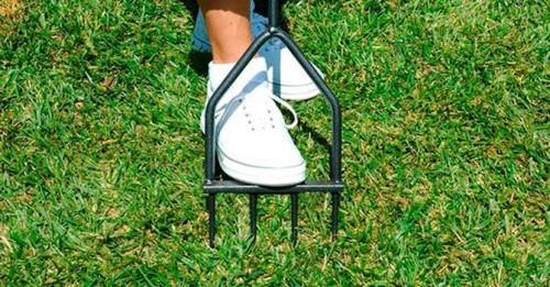 Аэрация газона когда делать. Как правильно производить аэрацию газона