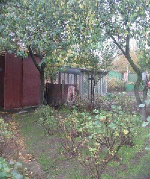 Аэрация газона граблями. Аэрация газона с помощью граблей-аэраторов.