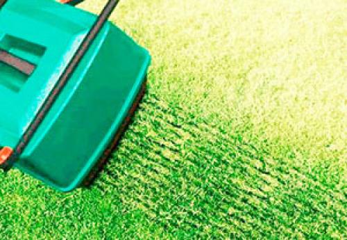 Аэрация газона своими руками. Организация естественной аэрации газона 10 Аэрация газона своими руками. Организация естественной аэрации газона 10