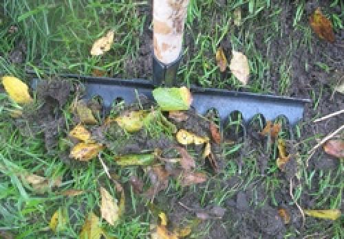 Аэрация газона граблями. Аэрация газона с помощью граблей-аэраторов.