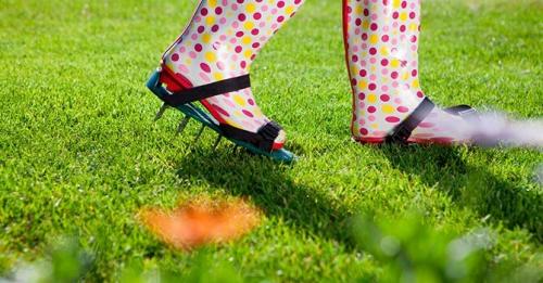 Аэрация газона когда делать. Как правильно производить аэрацию газона