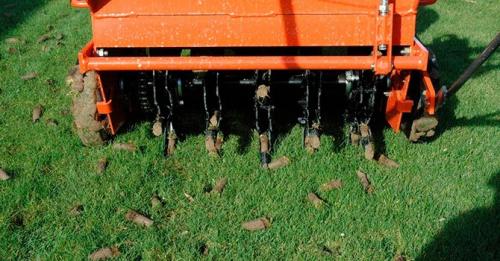 Аэрация газона когда делать. Как правильно производить аэрацию газона