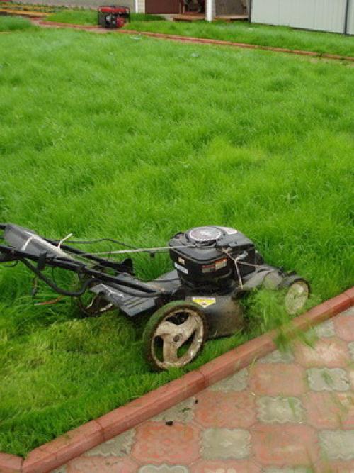 Аэрация газона своими руками. Организация естественной аэрации газона 11 Аэрация газона своими руками. Организация естественной аэрации газона 11