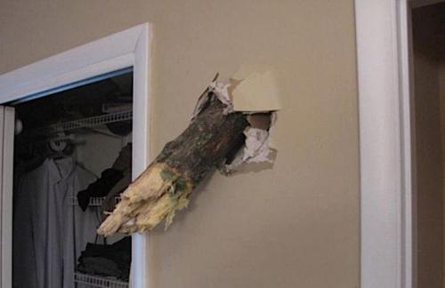 Почему в Америке деревянные дома. Американские дома из фанеры