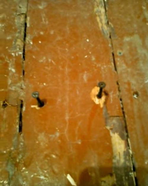 Гниет ли деревянный пол под ламинатом. Деревянный пол под ламинат Как его подготовить самостоятельно?