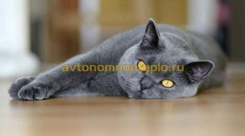 Полный гид по монтажу водяного теплого пола своими руками 04 Полный гид по монтажу водяного теплого пола своими руками 04