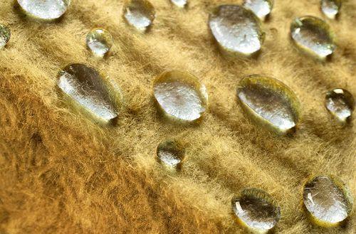 Утепление пола своими руками: Сэкономьте на отоплении и согрейте дом 08 Утепление пола своими руками: Сэкономьте на отоплении и согрейте дом 08