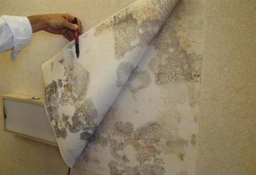 Как бумажные клеить обои встык. Виды и особенности бумажных обоев 10