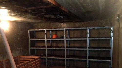 Погреб в гараже со смотровой ямой. Гараж с подвалом и смотровой