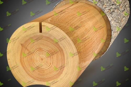 Бревно оцилиндрованное или брус профилированный. Сравнение пород древесины, их особенности, достоинства и недостатки 01 Бревно оцилиндрованное или брус профилированный. Сравнение пород древесины, их особенности, достоинства и недостатки 01