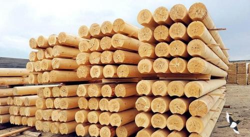 Выбрать для дома бревно или брус. Подробное сравнение: бревно или брус —, что лучше для дома? 04