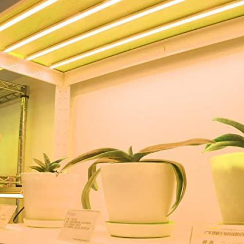 Полное руководство: как сделать подсветку натяжного потолка своими руками 06 Полное руководство: как сделать подсветку натяжного потолка своими руками 06