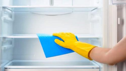 Как убрать тухлый запах из холодильника. Что делать, если в холодильнике стухло мясо?