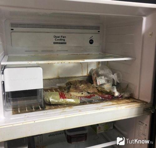 Запах в неработающем холодильнике. Почему возникает запах 03 Запах в неработающем холодильнике. Почему возникает запах 03