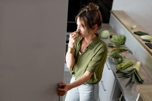 Быстро удалить неприятный запах из холодильника. 5 причин появления неприятного запаха в холодильнике 10