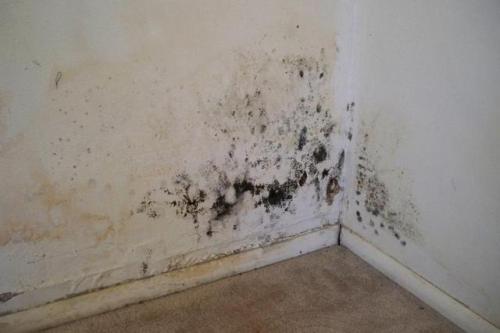 Как класть плитку на стену в ванной. Как правильно подобрать плитку на стену 03