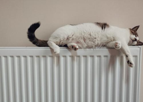 Биметаллический или алюминиевый радиатор: какой выбрать для вашего дома 03