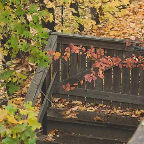 Поклейка обоев своими руками. Основные правила поклейки обоев 02