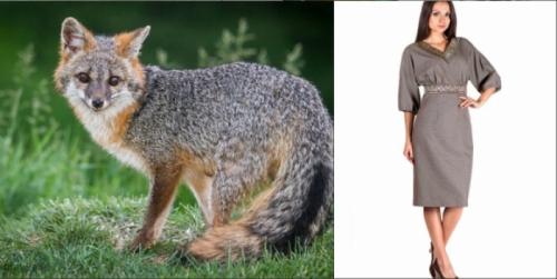 С чем сочетается серый цвет в одежде. Секреты сочетания серого цвета в одежде