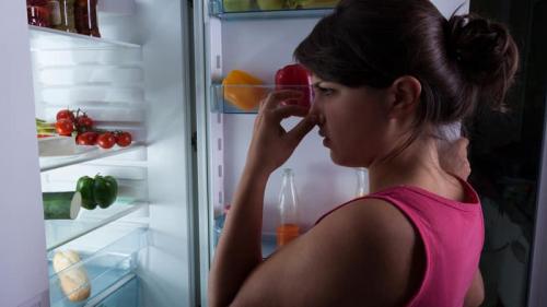 Неприятный запах в холодильнике. Что делать, если воняет внутри холодильника