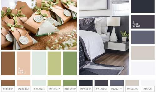 Какой цвет сочетается с шоколадным и бежевым. С какими цветами сочетается бежевый?