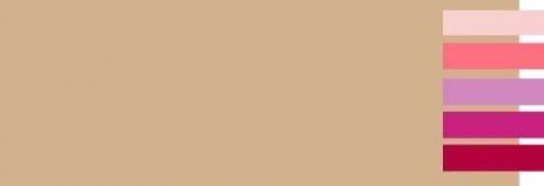 Какой цвет сочетается с шоколадным и бежевым. С какими цветами сочетается бежевый?