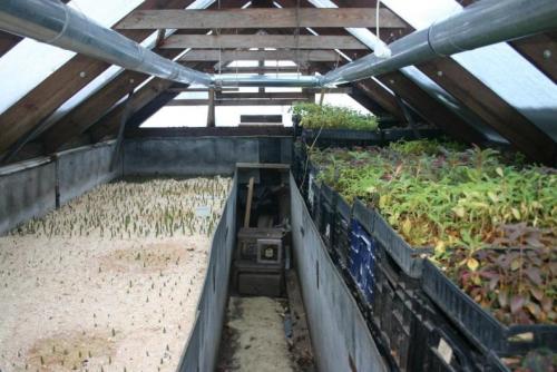 Теплица-термос своими руками. Теплица термос — учимся делать подземную теплицу по уникальной энергосберегающей технологии. 5 шагов к правильному обустройству