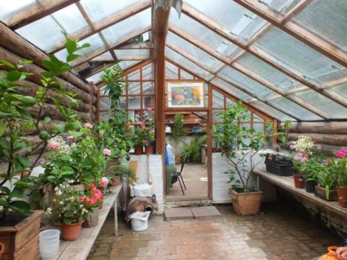 Подземные теплицы в сибири. Пошаговое руководство, как построить биовегетарий для круглогодичного садоводства: устройство подземной теплицы