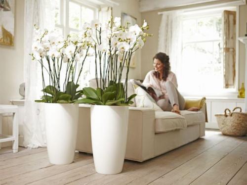 Весенняя свежесть в интерьере: как обновить ваш дом после долгой зимы 07 Весенняя свежесть в интерьере: как обновить ваш дом после долгой зимы 07