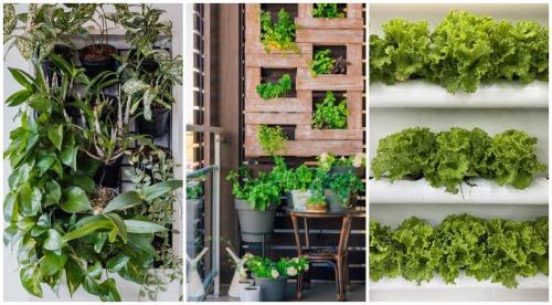 Как зеленый цвет влияет на настроение человека